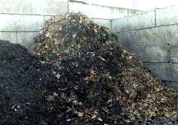 recycling-abfall-wertstoff-verwertung-strassenkehricht